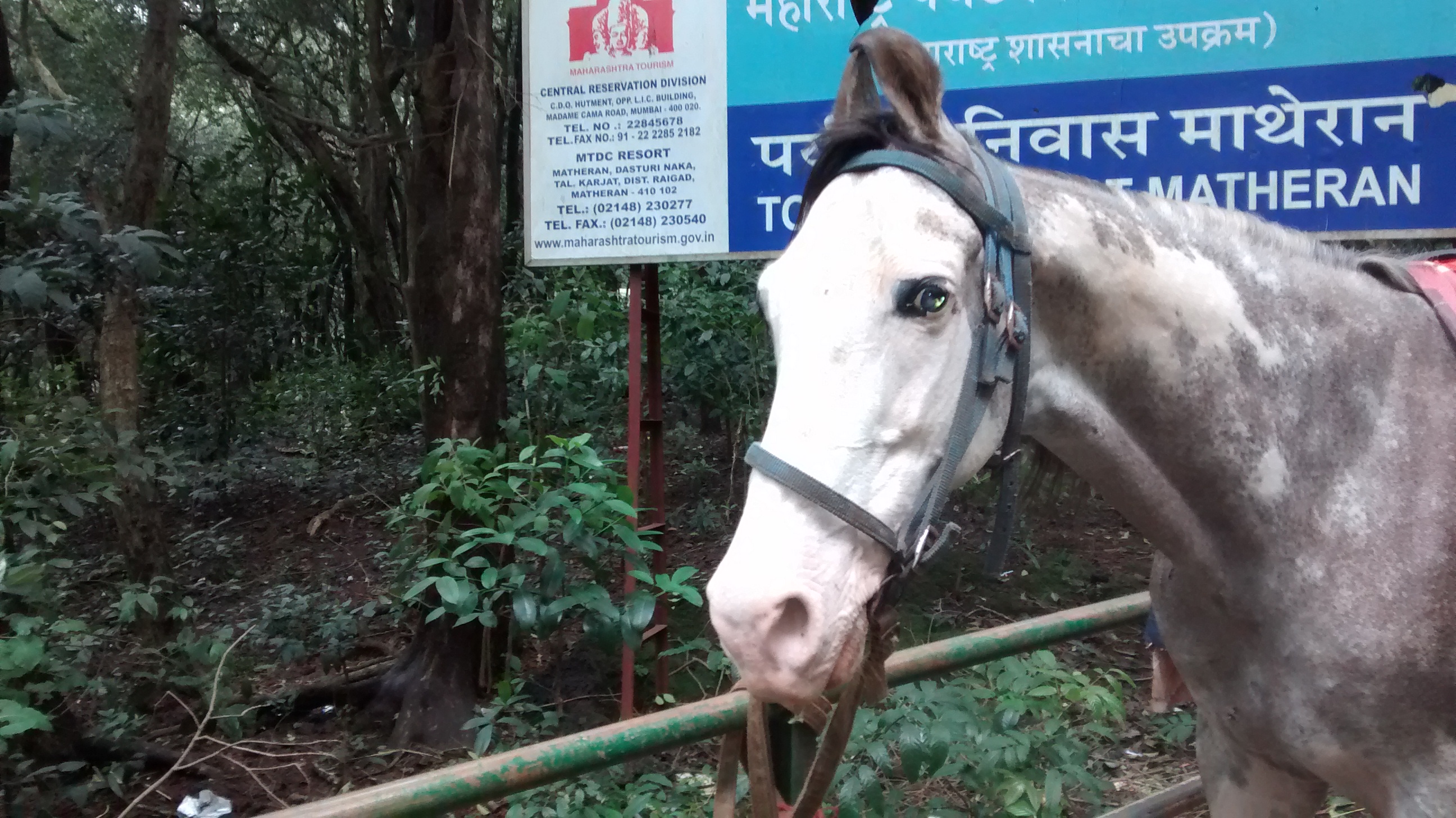 Matheran: Asia's Only Automobile-Free Hill Station : Trail-Stained